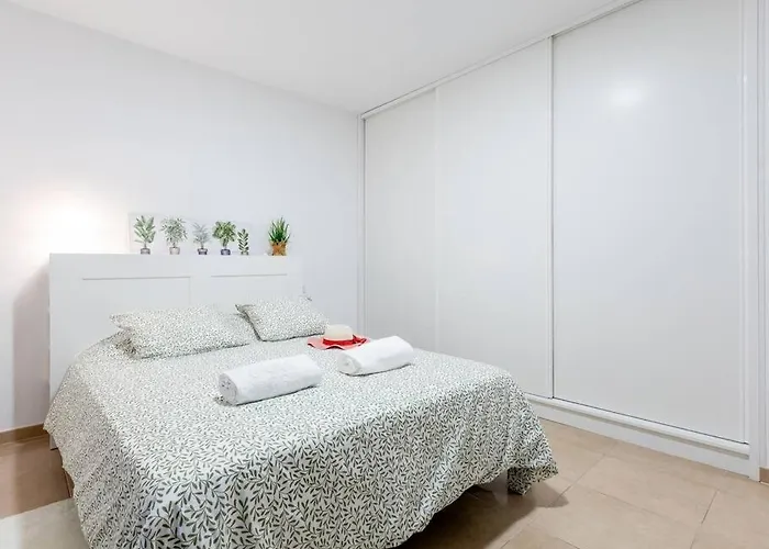 Carolina 8 * Адехе