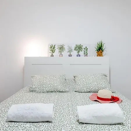 Carolina 8 Apartamento