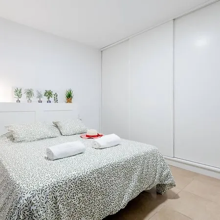 Carolina 8 * 阿德耶