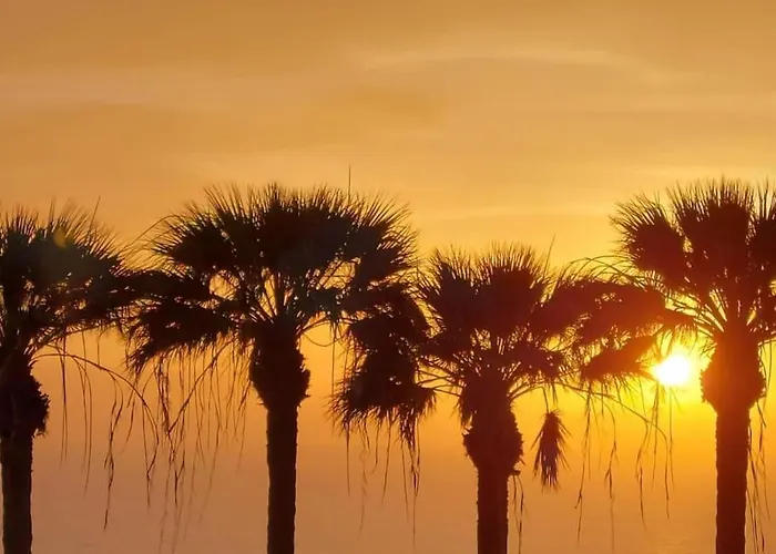 Carolina 8 Appartement *